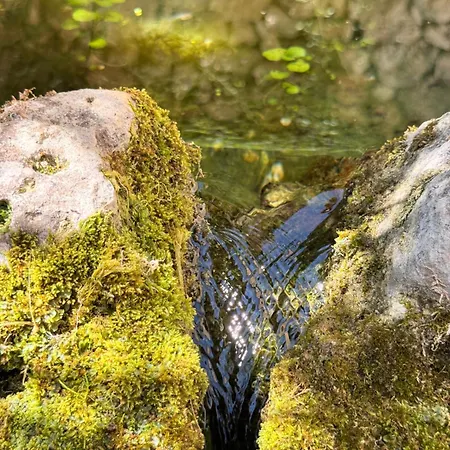 Aparthotel La Maison Noire De Fontbelle Angoulême