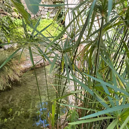La Maison Noire De Fontbelle 3*