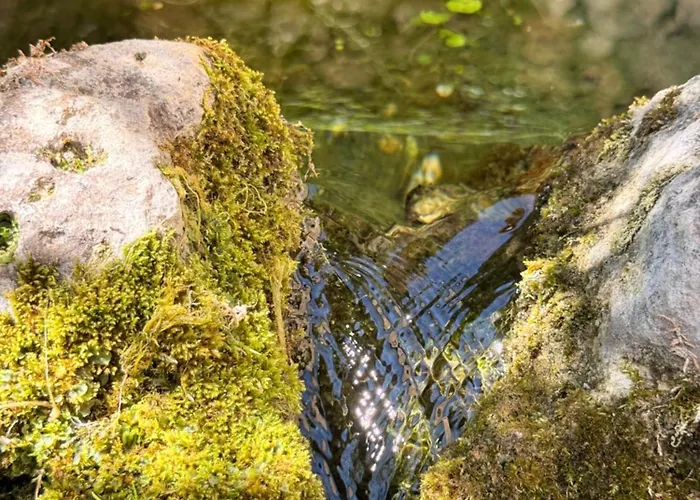 Apartahotel La Maison Noire De Fontbelle Angulema