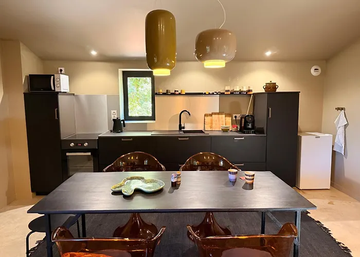 La Maison Noire De Fontbelle Apartahotel Angulema