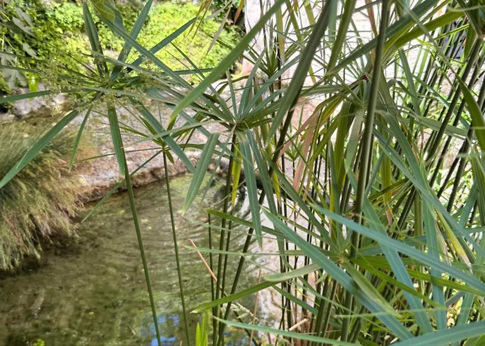 La Maison Noire De Fontbelle 3*