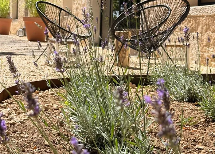 Apartahotel La Maison Noire De Fontbelle 3*